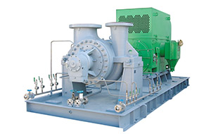 Thumbnail: Between-Bearings Double-Suction Pumps