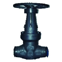 Forged Gate Valves