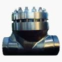 Whole forged check valves