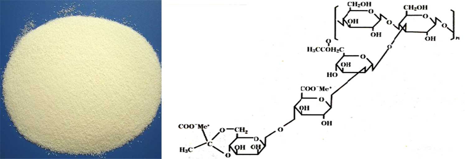 Xanthan Gum Oilfield