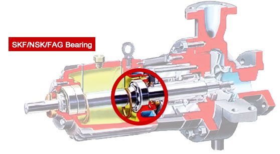 Arrangement of SKF, NSK or FAG bearings in the pump design