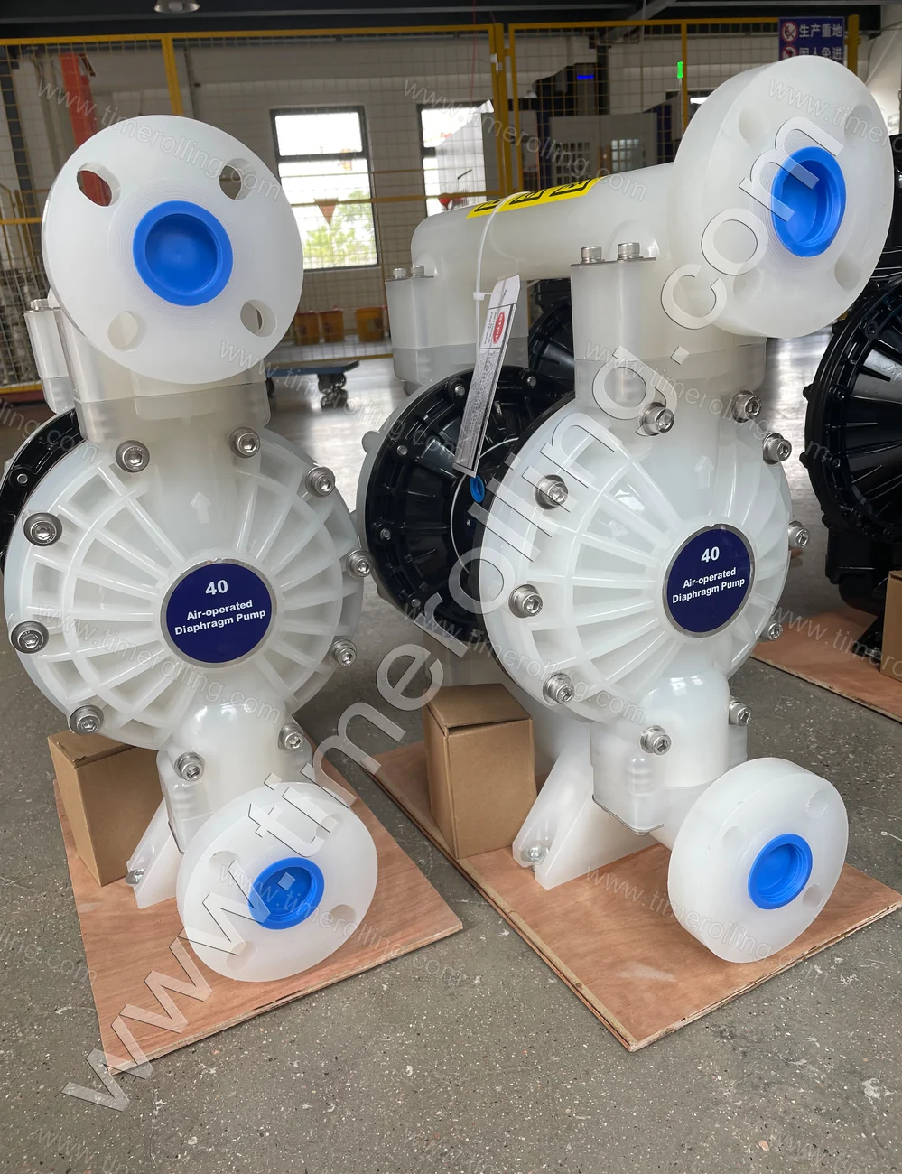 Diaphragm Pumps & Parts Compatible with Graco 02