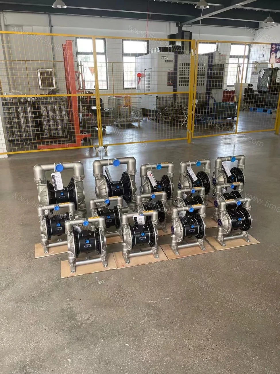Diaphragm Pumps & Parts Compatible with Graco 05