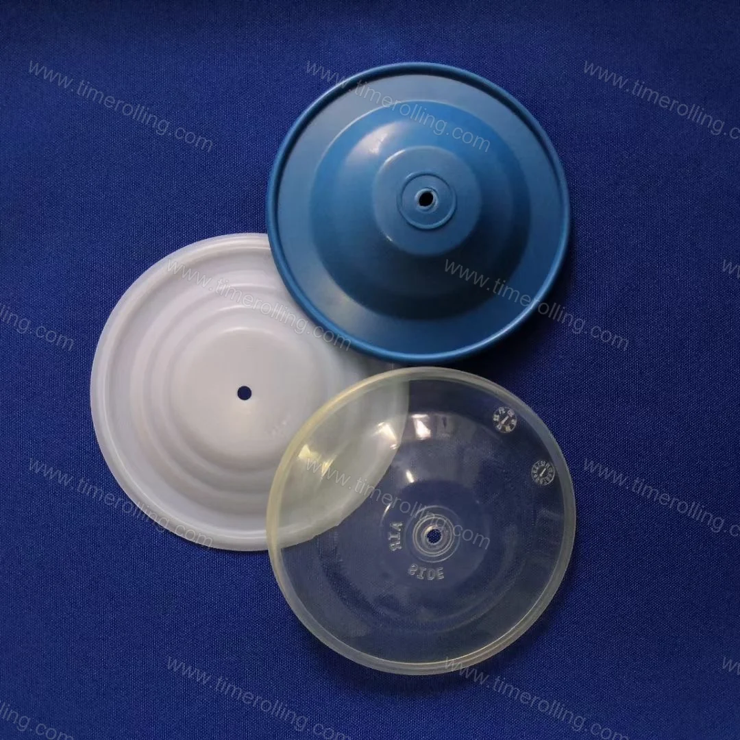 Diaphragm Pumps & Parts Compatible with Graco 06