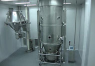 Solid Dose Processing